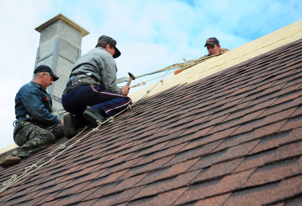 Best Roof Repair Services  in Marion, IA