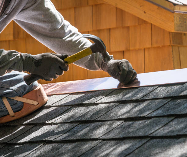 Best Roof Gutter Cleaning  in Marion, IA